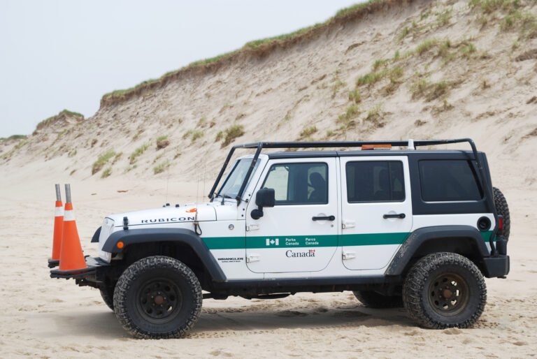 Jeep's Next EVs Are Going to Be Made in China—and That's Actually Smart
